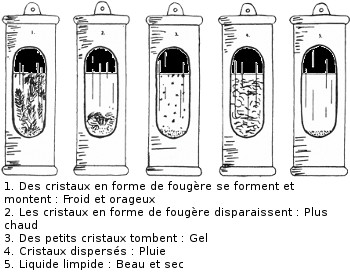 Dtail de lecture des prvisions